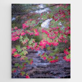 Autumn Riches - Fall Leaves Over Running Water, Great Head Trail, Acadia National Park, Maine, USA Jigsaw Puzzle