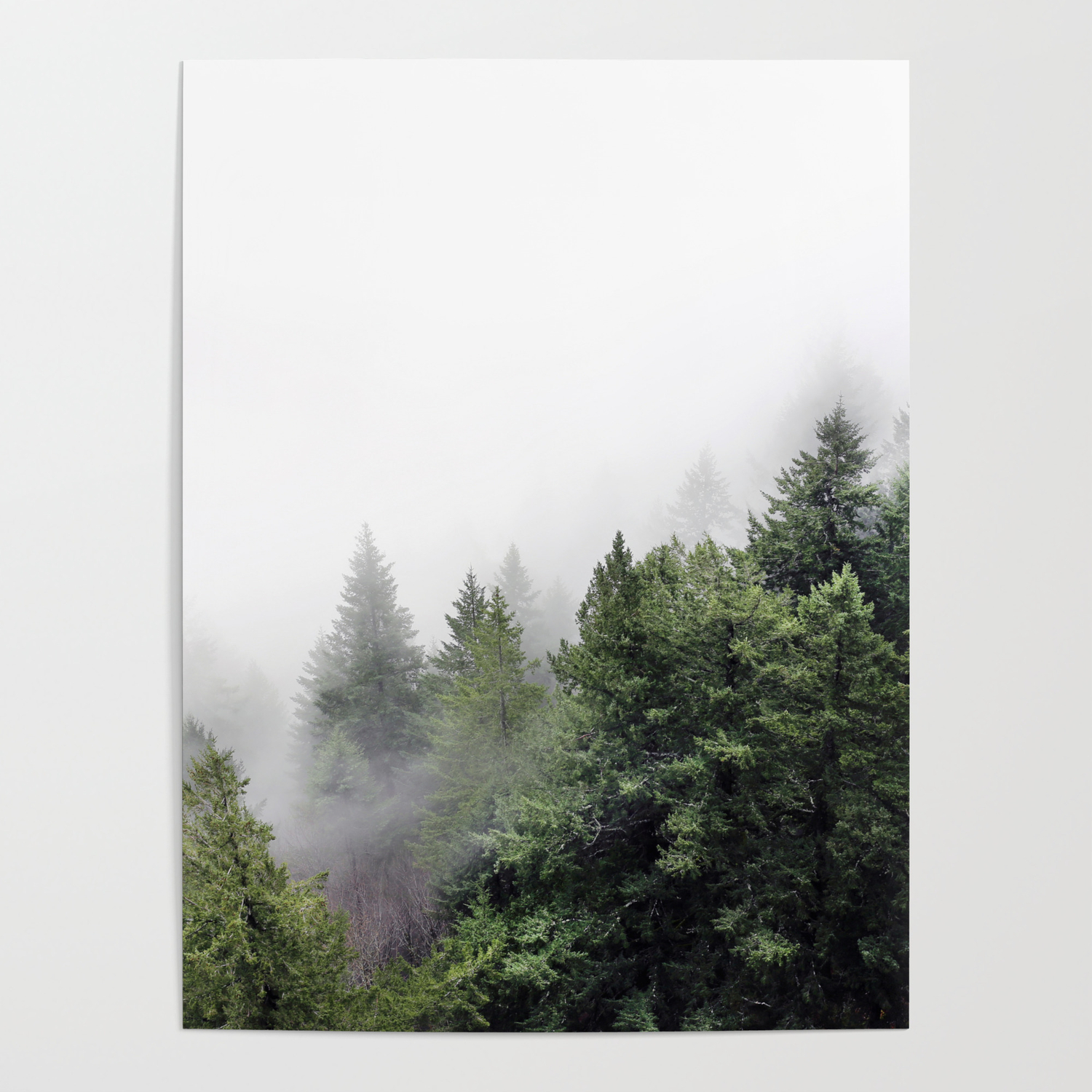 THETFORD FOREST TREES MIST PHOTO ART PRINT POSTER PICTURE BMP2401A