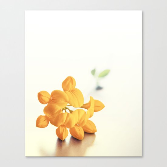 Yellow Clover Canvas Print
