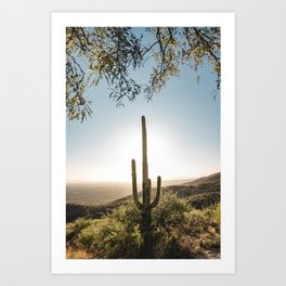 Arizona Saguaro Cactus Art Print