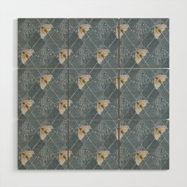 Moths in the web, covered in dew Argyle Wood Wall Art