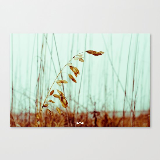 Sea Oats. Canvas Print