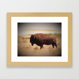 Buffalo looking west Framed Art Print