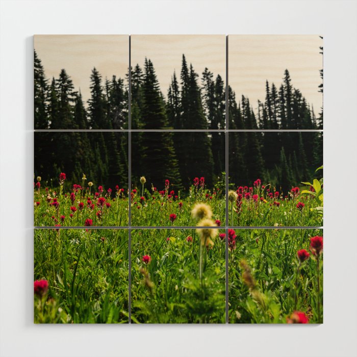 Mount Rainier Wildflower Adventure II - Pacific Northwest Mountain Forest Wanderlust Wood Wall Art