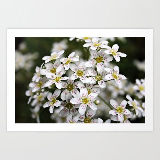 Little Faces Art Print