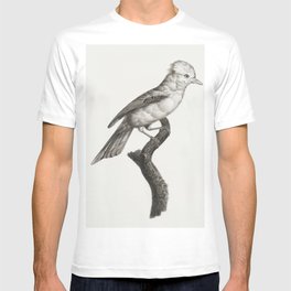 Magnificent bird of paradise female from Histoire Naturelle des Oiseaux de Paradis et Des Rolliers ( T-shirt