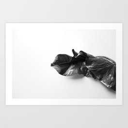 Leaf in Natural light Art Print | Black and White, Nature, Photo 