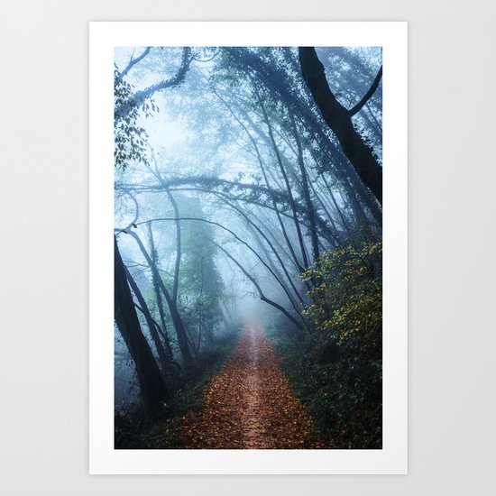 The Forest Beckons Art Print