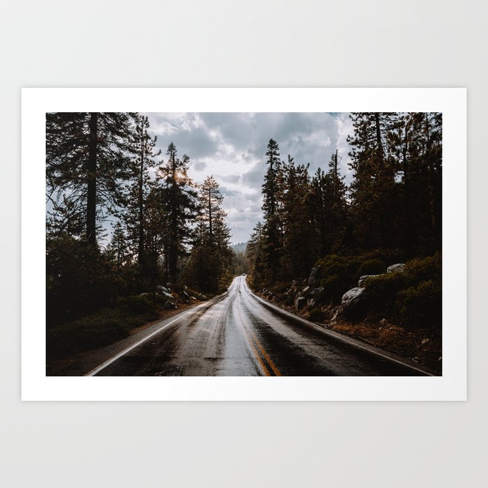 Rainy Day Adventures in the Forest Art Print