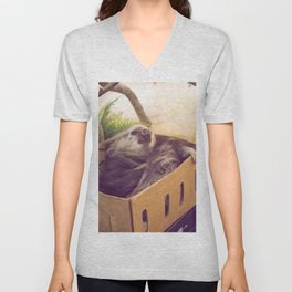 Sloth in a Box V Neck T Shirt