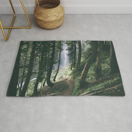To The Falls Rug