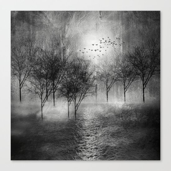 Black and White - Paisaje y color II Canvas Print