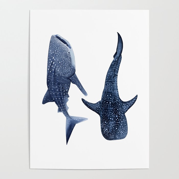 TWO WHALE SHARK Poster