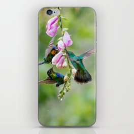 Three Costa Rican Hummingbirds in the Rain iPhone Skin