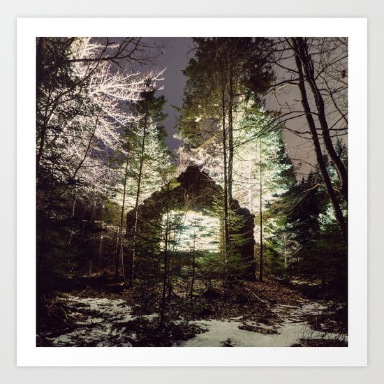 Light in the Forest Art Print