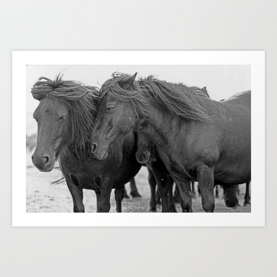 PONIES IN THE WIND Art Print