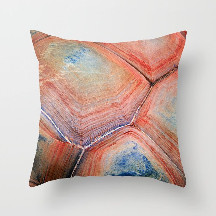 turtle shell pillow