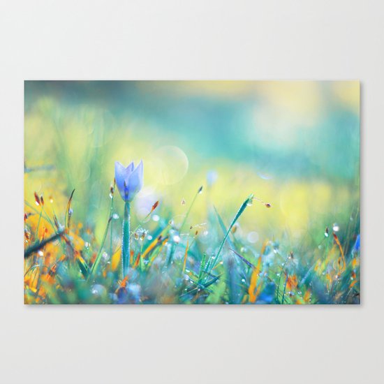 The Lady of Sun Canvas Print
