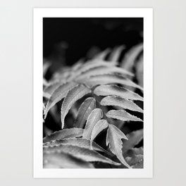Deep In - leaves & fern Art Print