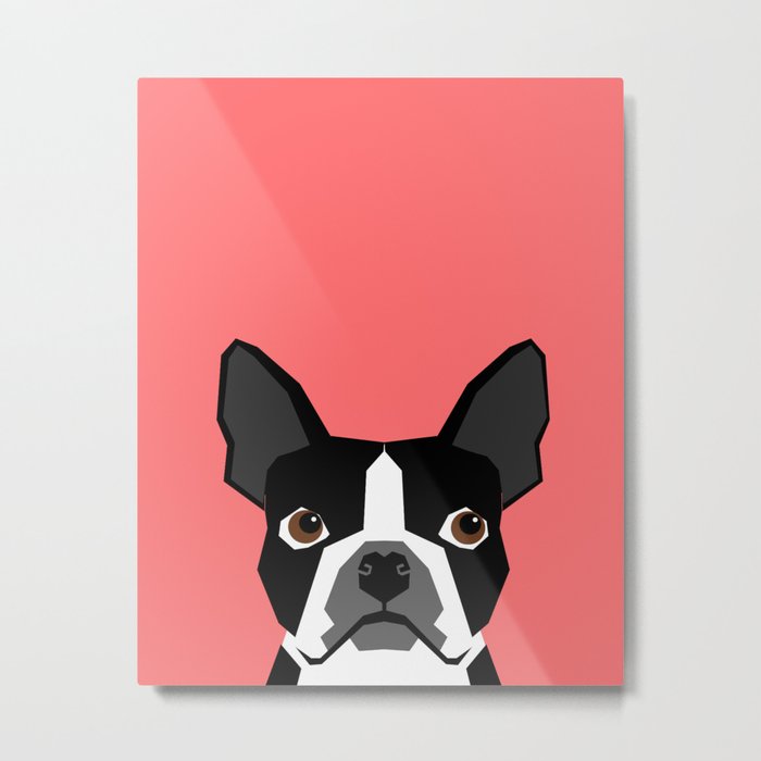 Kennedy - Boston Terrier cute dog themed gifts for small dog owners and Boston Terrier gifts  Metal Print
