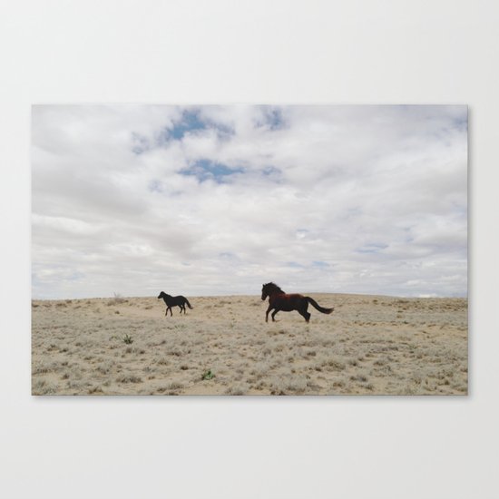 San Juan Horse Run Canvas Print