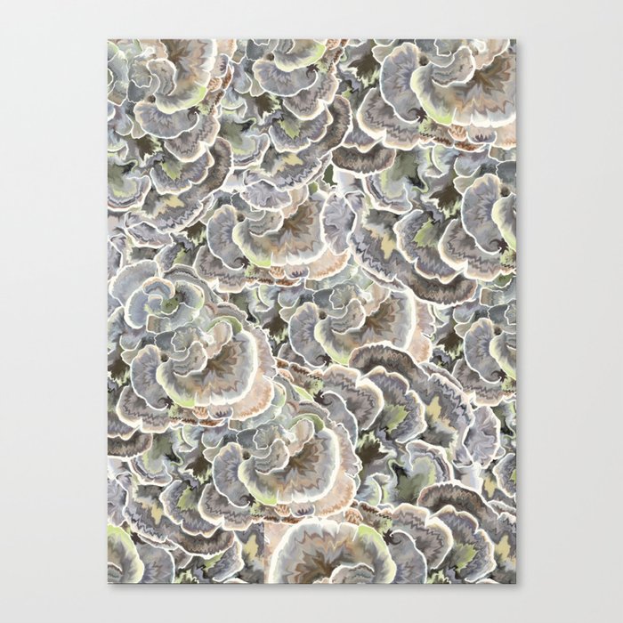 Forest Floor: Turkey Tail Fungi Canvas Print