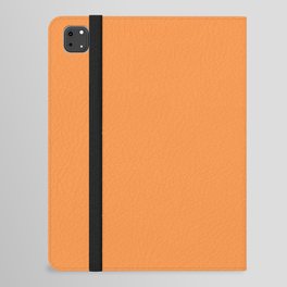 Fall River iPad Folio Case