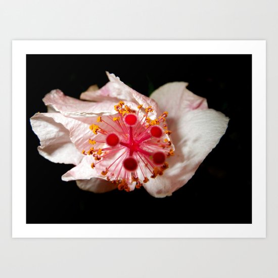 Explosion of Light Art Print