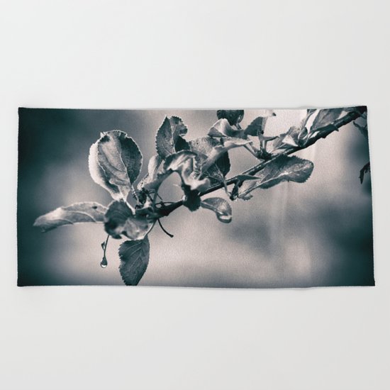 After the Rain Beach Towel