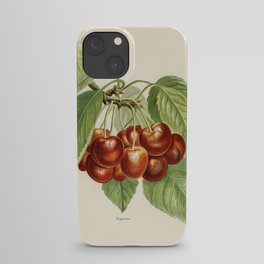 Vintage illustration of bigarreau cherries digitally enhanced from our own vintage edition of The Fr iPhone Case