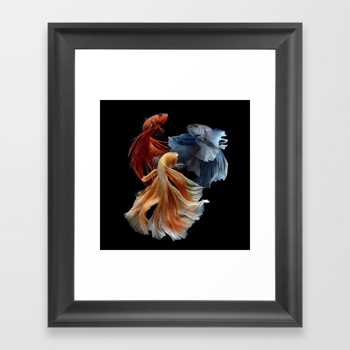 BEAUTIFUL BETA FISH Framed Art Print