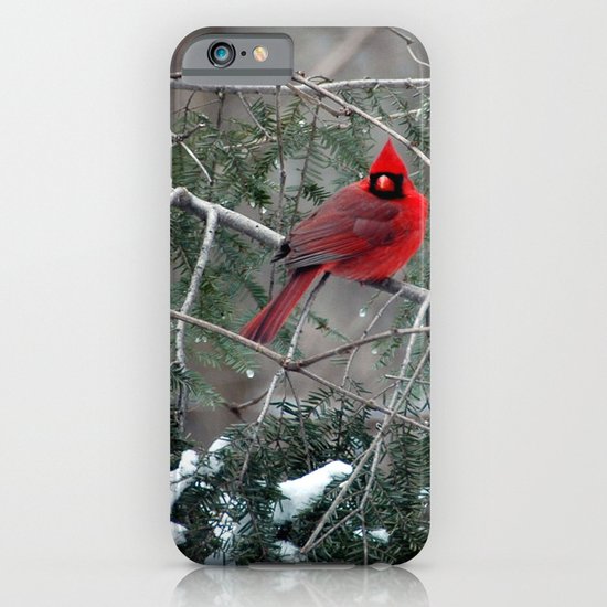Winter Cardinal iPhone & iPod Case