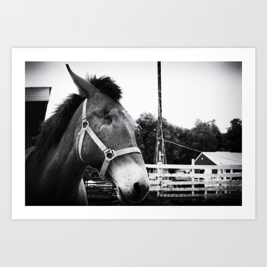 Greta Art Print