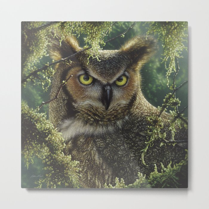 Great Horned Owl - Watching and Waiting Metal Print