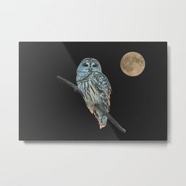 Owl, See the Moon: Barred Owl Metal Print | Hoot Owl, Nature, Barred Owl, Hoot, Birds, Nancyacarter, Black, Owl, Owls, Eyes 