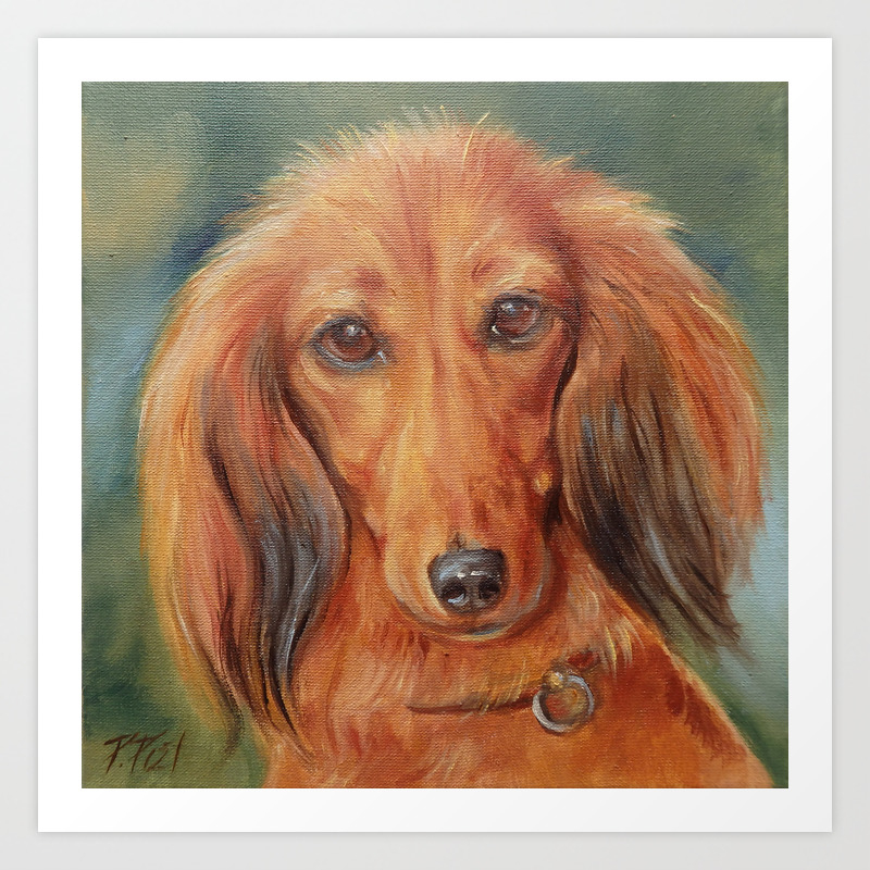 Teckel Dachshund Red Dog Cute Pet Portrait On Green Background