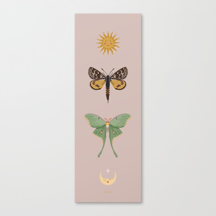 Sun & Moon Moths Canvas Print