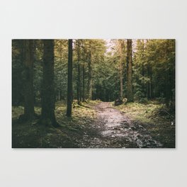 Mysterious Forest Path - Dark Woods Pathway Canvas Print