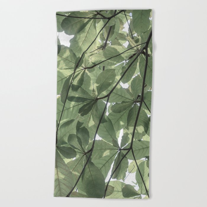 Sage green botanical art print - soft green leaves - nature and travel photography Beach Towel