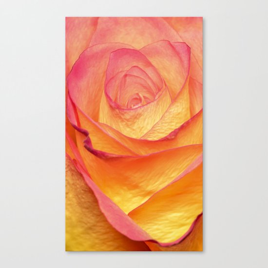 Colourful Rosie Canvas Print