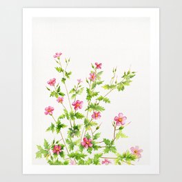 Wildflower 4 Art Print