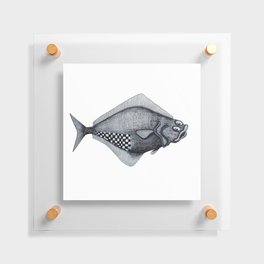 Flying Fish  Floating Acrylic Print