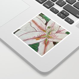 Waterlily  Sticker