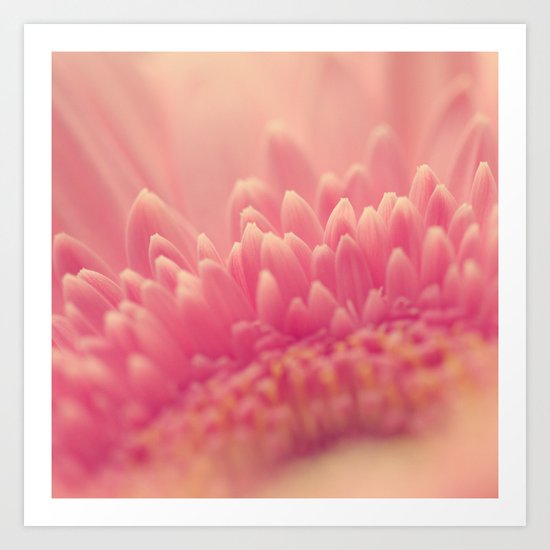 Pink Gerbera Daisy Art Print