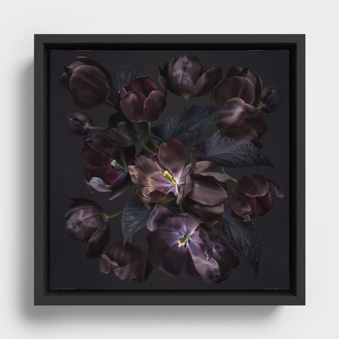 Framed Canvas