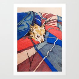 Comfy Chihuahua Art Print