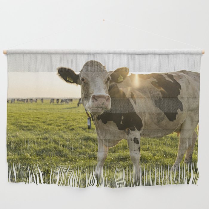 Cow during golden hour | Dutch Glory photography | Netherlands | Golden hour Wall Hanging
