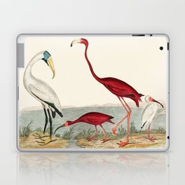 Vintage Illustration Of A Flamingo And Other Birds Laptop & iPad Skin