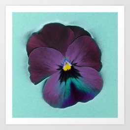 Purple viola tricolor Art Print