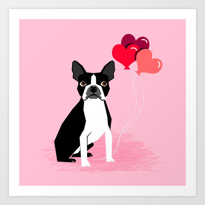 Day boston hot sale terriers